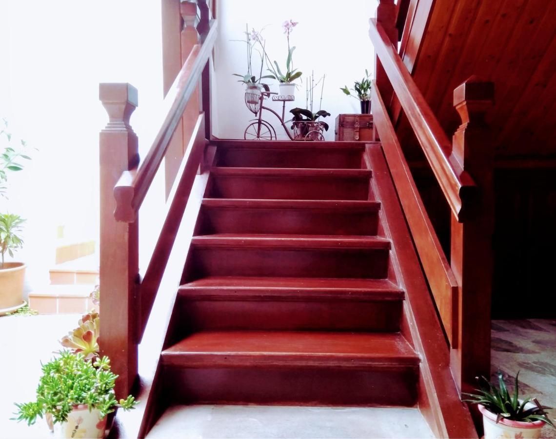 Casa Rural Los Helechos Agulo 외부 사진